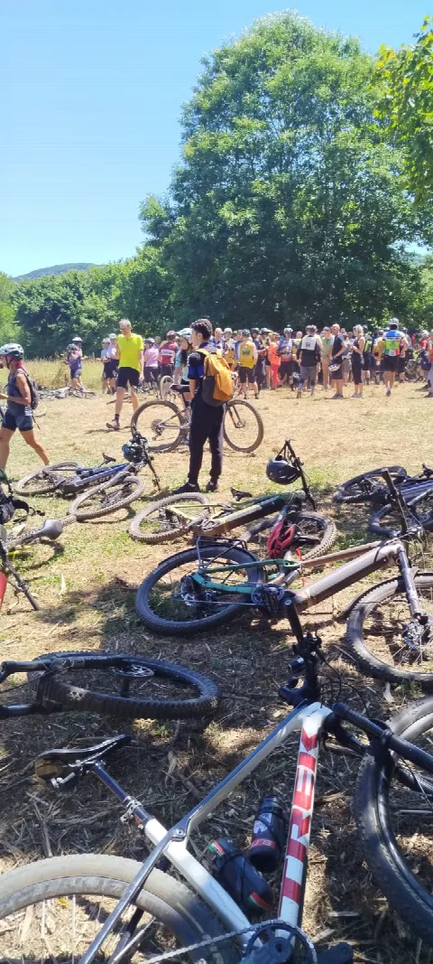 Biciclette appoggiate sul prato durante la sosta dell'Artemisio Bike Experience