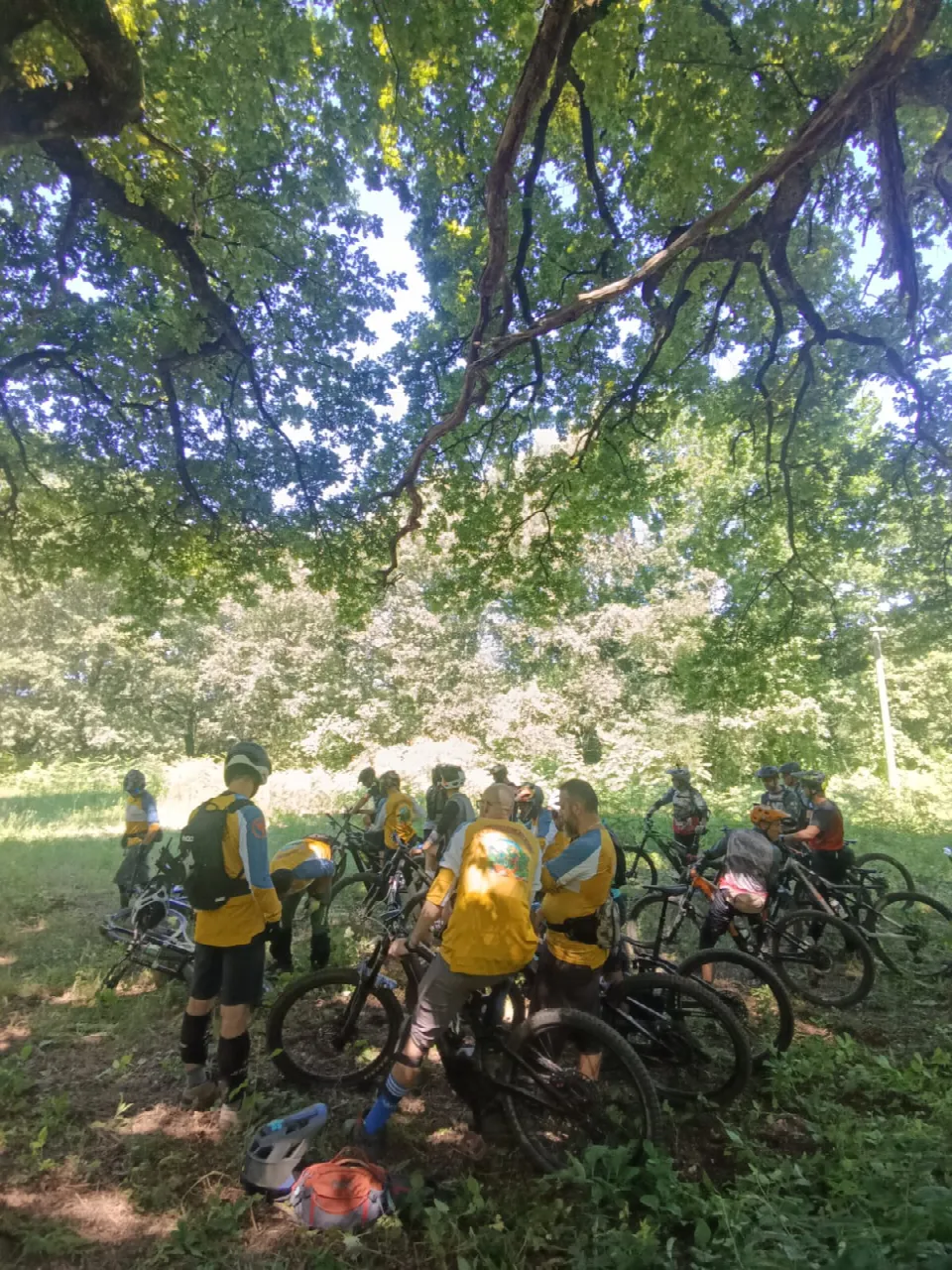 Biker in sosta all'ombra degli alberi lungo il percorso